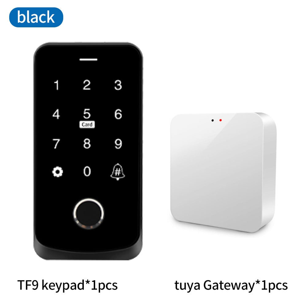 NFC Bluetooth Tuya APP Backlight Touch 13.56Mhz RFID Card Access Control Keypad Door Lock Opener WG Output  IP66 Watreproof