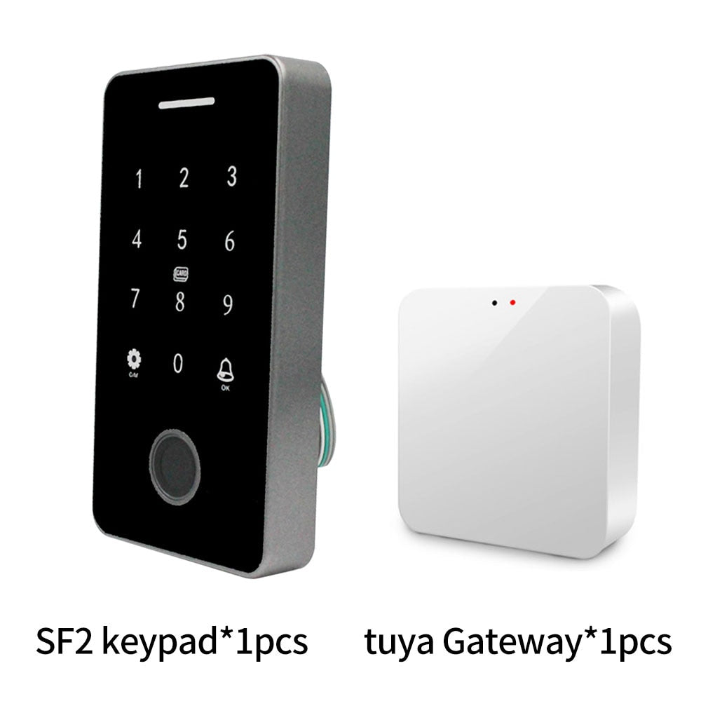 NFC Bluetooth Tuya APP Backlight Touch 13.56Mhz RFID Card Access Control Keypad Door Lock Opener WG Output  IP66 Watreproof